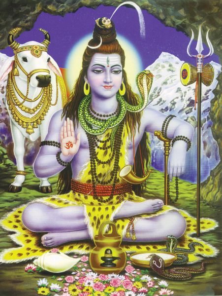 Shiva #008