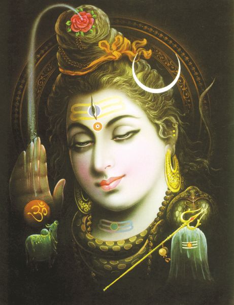 Shiva #010