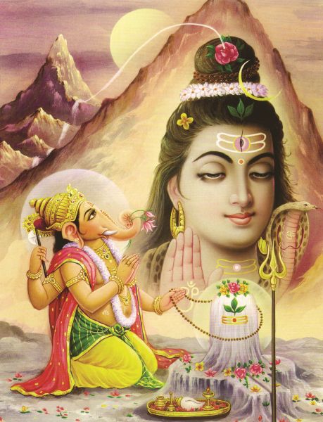 Shiva #012