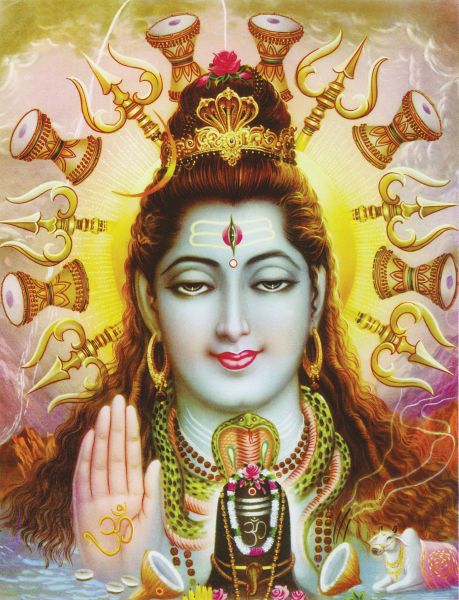 Shiva #019