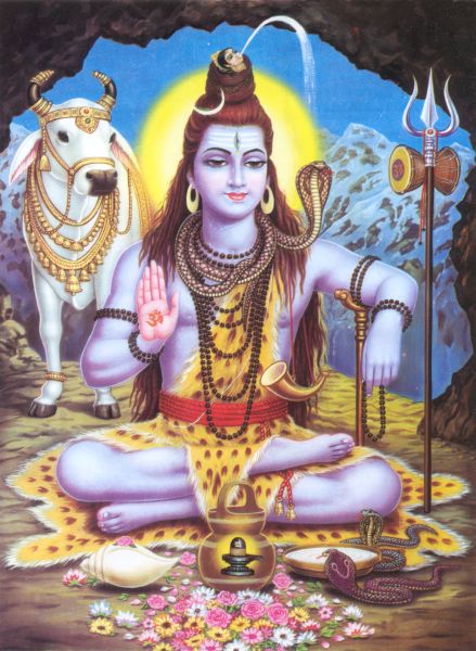Shiva #020