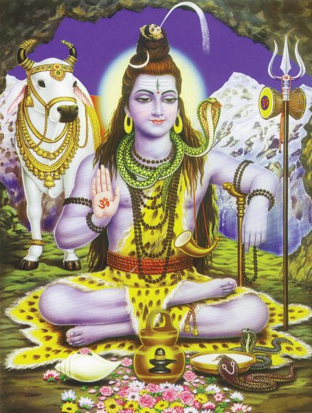 Shiva #021
