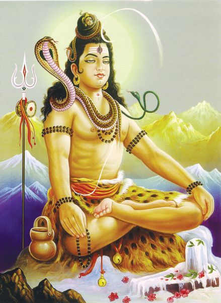 Shiva #024