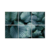 NISH! Tropical Wall Tiles #030 - Ceramic, Digital Poster Tiles