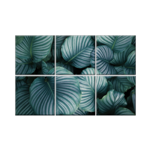NISH! Tropical Wall Tiles #030 - Ceramic, Digital Poster Tiles