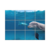 NISH! Dolphin Wall Tiles #028 - Ceramic, Digital Poster Wall Tiles
