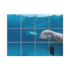NISH! Dolphin Wall Tiles #030 - Ceramic, Digital Poster Wall Tiles