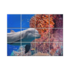 NISH! Dolphin Wall Tiles #031 - Ceramic, Digital Poster Wall Tiles
