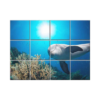 NISH! Dolphin Wall Tiles #032 - Ceramic, Digital Poster Wall Tiles