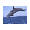 NISH! Dolphin Wall Tiles #037 - Ceramic, Digital Poster Wall Tiles