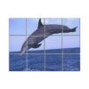 NISH! Dolphin Wall Tiles #037 - Ceramic, Digital Poster Wall Tiles