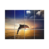 NISH! Dolphin Wall Tiles #040 - Ceramic, Digital Poster Wall Tiles