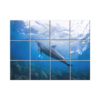 NISH! Dolphin Wall Tiles #044 - Ceramic, Digital Poster Wall Tiles