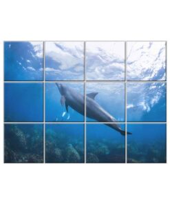 NISH! Dolphin Wall Tiles #044 - Ceramic, Digital Poster Wall Tiles