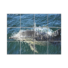 NISH! Dolphin Wall Tiles #048 - Ceramic, Digital Poster Wall Tiles