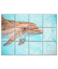NISH! Dolphin Wall Tiles #049 - Ceramic, Digital Poster Wall Tiles