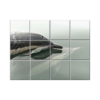 NISH! Dolphin Wall Tiles #051 - Ceramic, Digital Poster Wall Tiles