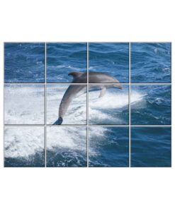NISH! Dolphin Wall Tiles #052 - Ceramic, Digital Poster Wall Tiles