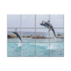 NISH! Dolphin Wall Tiles #053 - Ceramic, Digital Poster Wall Tiles