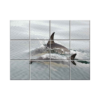 NISH! Dolphin Wall Tiles #055 - Ceramic, Digital Poster Wall Tiles