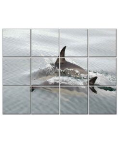 NISH! Dolphin Wall Tiles #055 - Ceramic, Digital Poster Wall Tiles