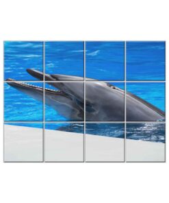 NISH! Dolphin Wall Tiles #057 - Ceramic, Digital Poster Wall Tiles