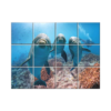 NISH! Dolphin Wall Tiles #059 - Ceramic, Digital Poster Wall Tiles