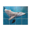 NISH! Dolphin Wall Tiles #060 - Ceramic, Digital Poster Wall Tiles
