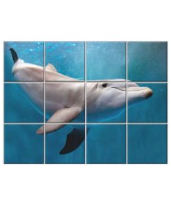 NISH! Dolphin Wall Tiles #060 - Ceramic, Digital Poster Wall Tiles