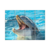 NISH! Dolphin Wall Tiles #063 - Ceramic, Digital Poster Wall Tiles