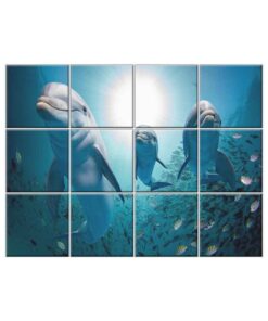NISH! Dolphin Wall Tiles #064 - Ceramic, Digital Poster Wall Tiles