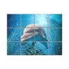 NISH! Dolphin Wall Tiles #065 - Ceramic, Digital Poster Wall Tiles