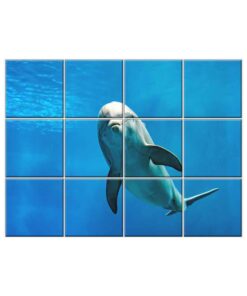 NISH! Dolphin Wall Tiles #067 - Ceramic, Digital Poster Wall Tiles