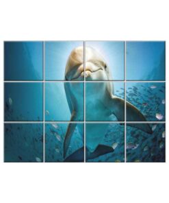 NISH! Dolphin Wall Tiles #068 - Ceramic, Digital Poster Wall Tiles