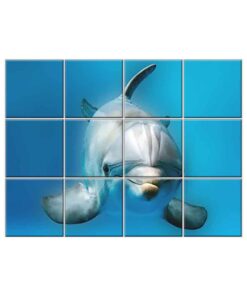 NISH! Dolphin Wall Tiles #069 - Ceramic, Digital Poster Wall Tiles