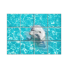 NISH! Dolphin Wall Tiles #071 - Ceramic, Digital Poster Wall Tiles