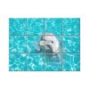 NISH! Dolphin Wall Tiles #071 - Ceramic, Digital Poster Wall Tiles