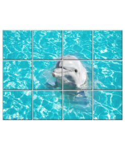 NISH! Dolphin Wall Tiles #071 - Ceramic, Digital Poster Wall Tiles