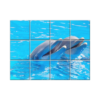 NISH! Dolphin Wall Tiles #073 - Ceramic, Digital Poster Wall Tiles