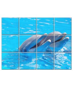 NISH! Dolphin Wall Tiles #073 - Ceramic, Digital Poster Wall Tiles