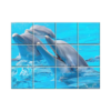 NISH! Dolphin Wall Tiles #074 - Ceramic, Digital Poster Wall Tiles