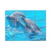 NISH! Dolphin Wall Tiles #074 - Ceramic, Digital Poster Wall Tiles