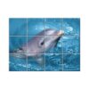 NISH! Dolphin Wall Tiles #075 - Ceramic, Digital Poster Wall Tiles