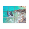 NISH! Dolphin Wall Tiles #079 - Ceramic, Digital Poster Wall Tiles