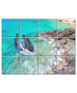 NISH! Dolphin Wall Tiles #079 - Ceramic, Digital Poster Wall Tiles