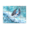 NISH! Dolphin Wall Tiles #080 - Ceramic, Digital Poster Wall Tiles