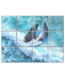 NISH! Dolphin Wall Tiles #080 - Ceramic, Digital Poster Wall Tiles