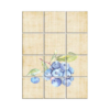 NISH! Fruit Wall Tiles #045 - Ceramic, Digital Wall Tiles