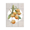 NISH! Fruit Wall Tiles #048 - Ceramic, Digital Wall Tiles
