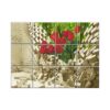3D Poster Wall Tiles #029 ? Ceramic, Digital Wall Tiles